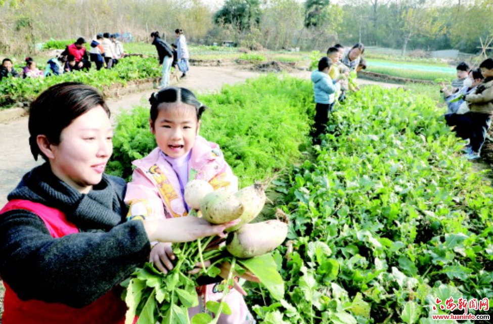 “小农夫”乐享丰收趣