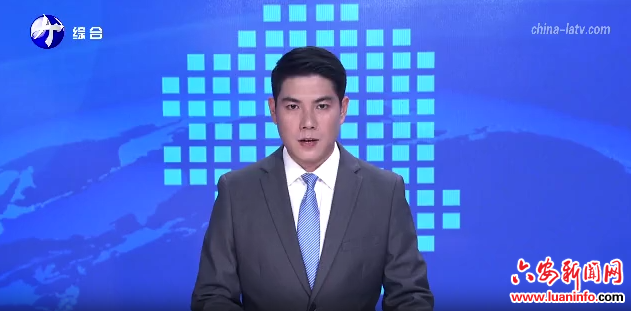 2025年六安市志愿服务工作成果展示交流会举行